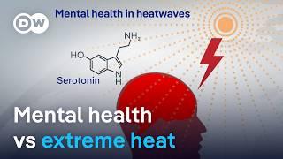 What extreme heat does to the human body – and mental health  DW News