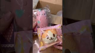 UNBOXING SQUISHY HAUL‼️