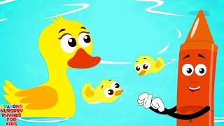 Quack Quack Duck Song - Animals Songs & Nursery Rhymes for Kids