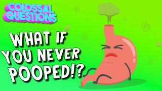 What Would Happen If You Never Pooped?  COLOSSAL QUESTIONS