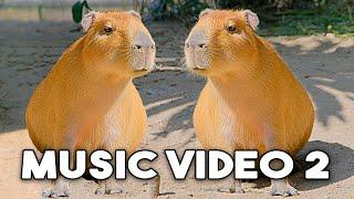 The Capybara Song 2nd Official Music Video 