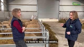 Amy Jackson - Organic Sheep Farmer