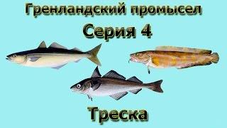 Русская Рыбалка 3.99 Гренландский промысел 4 - Треска