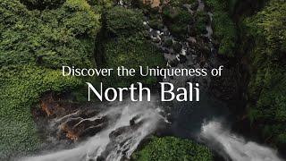 Discover The Uniqueness Of North Bali