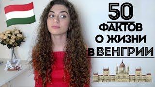 50 фактов о жизни в Будапеште  Анетта Будапешт