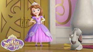 Sofia the First Theme Song  @disneyjunior