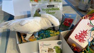 Unboxing a Perchville subscription box from New Zooland Pets