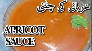 Khubani Ki Chatni  How To Make Dry Apricot Sauce-Easy & Quick Sauce Recipe  Homemade Apricot Sauce