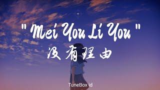 Mei You Li You  没有理由  - Zhu Xiao Wu  朱小五  Ryan.B  Lyrics