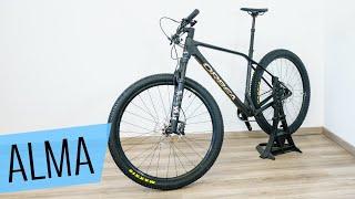 Das Orbea Alma M20 2024 im Review - Fahrrad.org