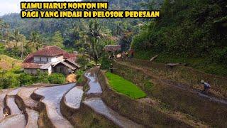 MASYAALLAH.. INDAHNYA SUASANA PAGI DI PELOSOK PEDESAAN WARGA MEMBAJAK SAWAH DI LERENG BUKIT