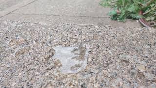 20 seconds of a small rain puddle