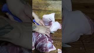 #shorts Filtering Meat part 1