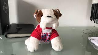 Vintage 80s WWFWWE Matilda Plush “The British Bulldogs” Tag Team Mascot