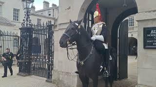 Kings guard having none of this tourist behaviour ignoring instructions #thekingsguard