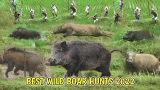 INCREDIBLE  WILD BOAR HUNTS • AMAZING HOG HUNT VIDEOS • ULTIMATE HUNTING COMPILATION