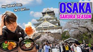 Its My Worst Day So I Eat Nice Foods Osaka Full Bloomed Sakura and Not Crowded Local Arcade Ep.479