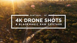 PANTANAL - MT  4K DRONE SHOTS & BLACKMAGIC FOOTAGE