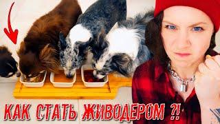 Пробую 0ТРАВИТЬ своих Собак и Кошку Опасный Эксперимент с Питомцами и Едой