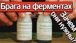 БРАГА НА ФЕРМЕНТАХ С ИСПОЛЬЗОВАНИЕМ ПШЕНИЧНОЙ МУКИ