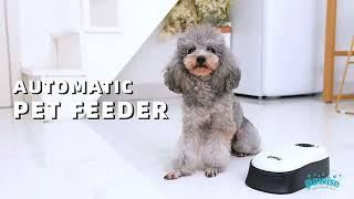 Automatic Pet Feeder