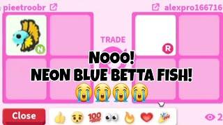 Noo I WAS SPECTATING THEM TRADING My DREAM PET *NEW* NEON BLUE BETTA FISH FOR A NOT SO GOOD PET