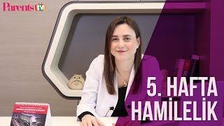 Parents TV - 5. Hafta Hamilelik