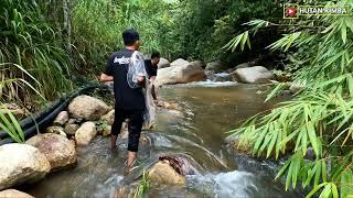 Menjala ikan Tengas di Raub Pahang