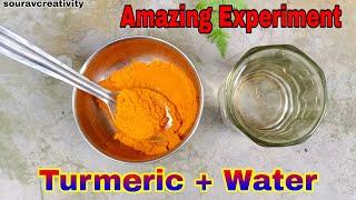 2 Easy Science Experiment To Do At Home  School Science Experiments  turmeric + water=?