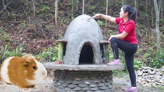 Technique Building Beautiful House For Guinea Pigs - Raise Guinea Pigs  Daily Farm