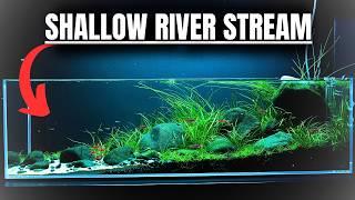 I MADE A SHALLOW RIVER FOR TINY FISH Aquascape Tutorial