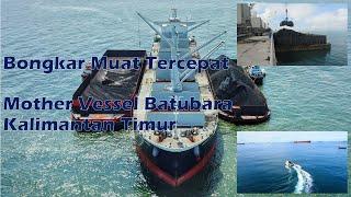 Muara Berau Kaltim Transhipment Batubara PT Multi Harapan Utama 2018 #batubara #tambang