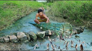 technology build a stone With bamboo dam to Find fish