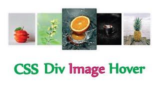 Css Div Image Hover  Html Css image card hover effect