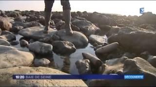 Chasseur de mines sur plages normandes