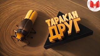 Игродно Друг таракан