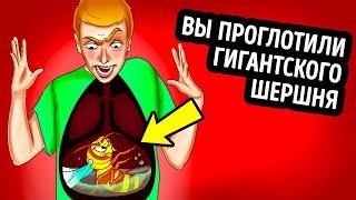 Что если проглотить шершня и он вас ужалит?