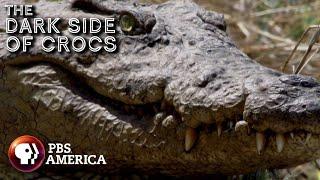 The Dark Side of Crocs FULL SPECIAL  PBS America