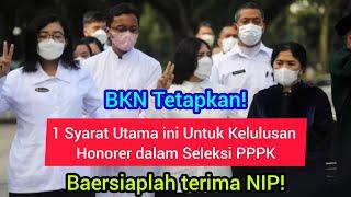 BKN Tetapkan️1 Syarat Utama dalam Kelulusan Tenaga Honorer dalam Seleksi PPPK Bersiaplah daat NIP