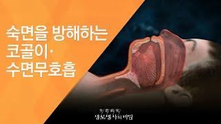 숙면을 방해하는 코골이·수면무호흡 - 20120519_413회 방송_숙면의 기술