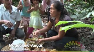 AMA LA VIDA TV - Ecuador- 3ra temporada Programa 20 Cacao
