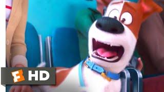 The Secret Life of Pets 2 - At the Vet Scene 110  Movieclips