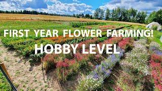 First Year Flower Farming Growing Cut Flowers