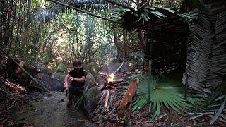Make a Shelter Find Wild Food Catch and Cook Survival Alone  EP.232