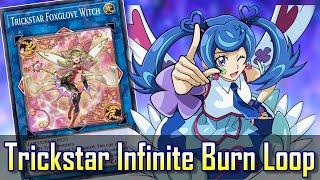 Trickstar Infinite Burn Loop FTK Foxglove Witch ver. Yu-Gi-Oh Duel Links