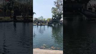 Beautiful WATER PALACE Tirtagangga in Bali Indah Wisata BERSEJARAH  Tirtagangga #bali #tirtagangga