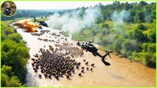 How Do Hunters And Canadian Farmers Deal With Millions Of Wild Boars by Halicopter with Gun