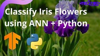 Neural Network for Beginners with Iris Flower Classification  Tec4Tric