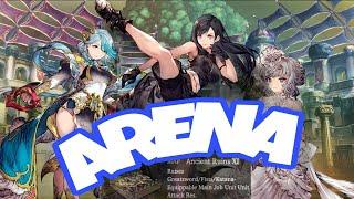 Arena Showcase 2024 Zangans Disciple Tifa - Testing AP Denial with Strike Teammates #wotv #ffbe