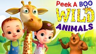 Peek a Boo - Learn Wild Animals And More Nursery Rhymes & Kids Songs  Baby Ronnie Rhymes